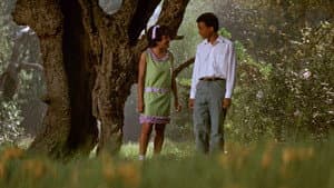 The Learning Tree — foto 1
