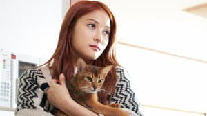 어떻게 헤어질까 — foto 1