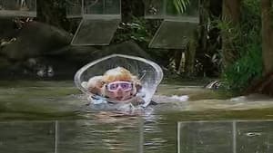 Episodio 16