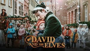 David y los elfos — foto 5