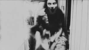 A Town Full of Ghosts — foto 1