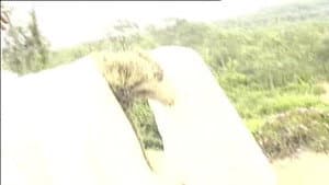 风月宝鉴之初入桃源洞 — foto 1