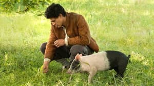 Der Schweinehirt — foto 1