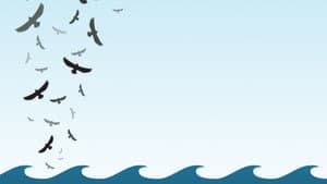 In the Wake of the Flood — foto 1