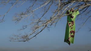 El Affaire Miu Miu — foto 4