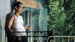 20 nuits et un jour de pluie — foto 2