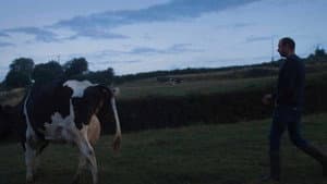 Un été à la ferme - L'âge d'or — foto 6