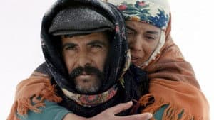 Sürü — foto 4