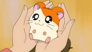 Hamtaro — foto 1
