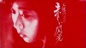 天使のはらわた 赤い閃光 — foto 3