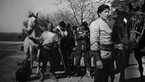 Hacı Murat — foto 1