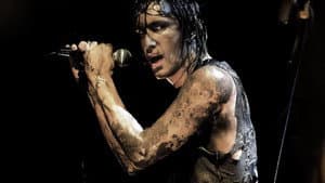 Nine Inch Nails: Woodstock 94 — foto 1