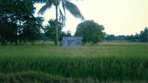 Irik ng Lunggati — foto 1