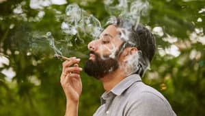 Weediquette — foto 3