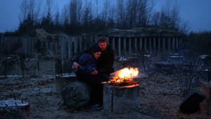 Відблиск — foto 4