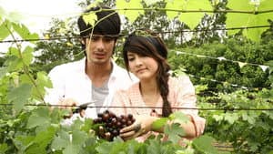 วายุภัคมนตรา — foto 1