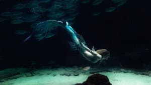 MerPeople — foto 5