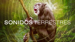 Sonidos de la Tierra — foto 9