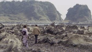 新・団地妻　ブルーフィルムの女 — foto 4