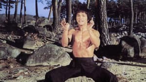 Bruce and Shaolin Kung Fu — foto 2