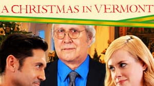 A Christmas in Vermont — foto 4