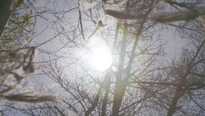 The Quest to Save the World — foto 12