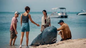Retter der Meere - Tödliche Strandung — foto 1