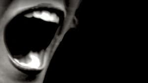 Silent Scream — foto 1