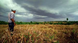 Transamazónica: un camino al pasado — foto 6