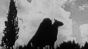 The Headless Horseman — foto 1