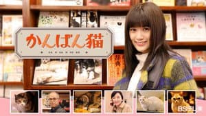 かんばん猫 — foto 1
