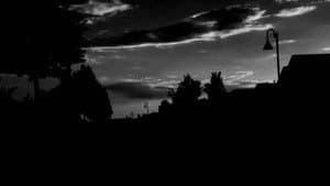 Dread in the Night — foto 1