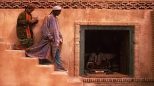طوق الحمامة المفقود — foto 3