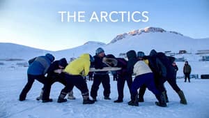 The Arctics — foto 2