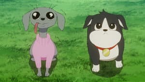 Episodio 6