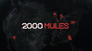 2000 Mules — foto 4