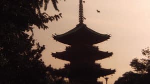 鬼畜 — foto 5