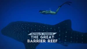 Ultimate Freedive: The Great Barrier Reef — foto 1