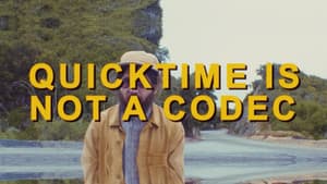 What Codec Should I Use? — foto 1
