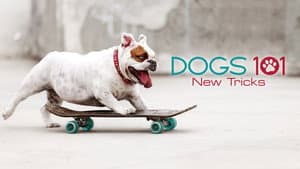 Dogs 101 — foto 3
