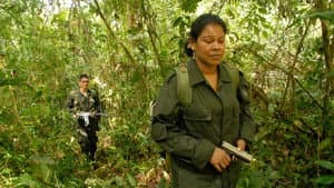 Guérilla des FARC, l'avenir a une histoire — foto 1