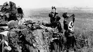 Das Reich : une division SS en France — foto 3