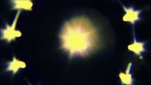 Sun King — foto 1