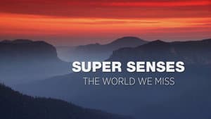 Super Senses — foto 1