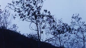 Chant — foto 2
