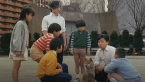 Episodio 19