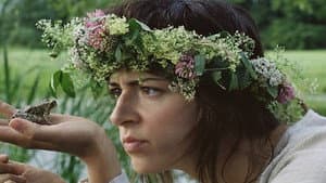 Taarka — foto 1