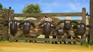 Shaun het Schaap: Elke dag Feest — foto 3