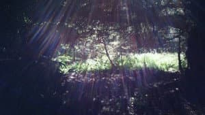 Spring — foto 1