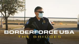 Borderforce USA: The Bridges — foto 1